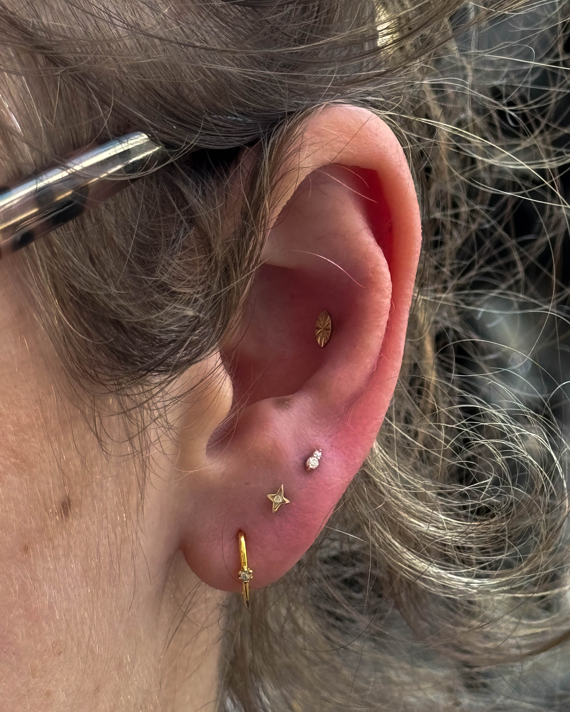 Curated ear with titanium and gold piercings by Stab Daddy Bri